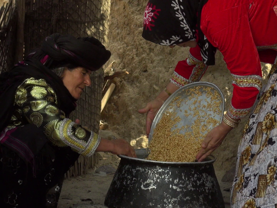 مستند شای ماران